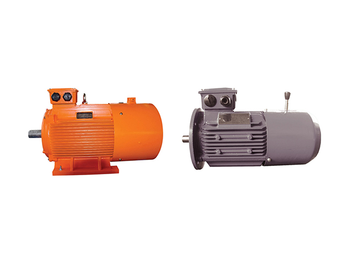 Y2EJ系列制動(dòng)三相異步電動(dòng)機(jī)