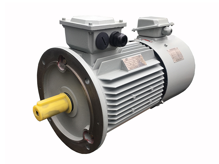 Y2VP系列變頻三相異步電動(dòng)機(jī)