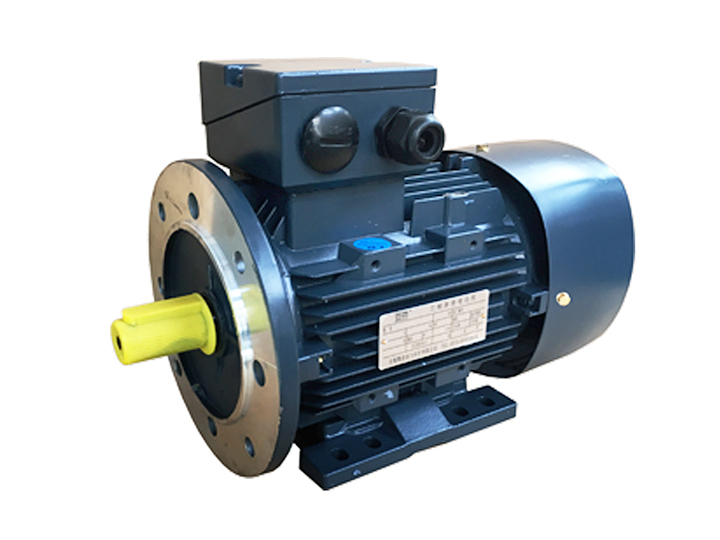 Y2A系列鋁殼三相異步電動(dòng)機(jī)