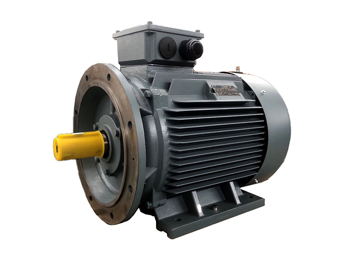 YE2系列高效三相異步電動(dòng)機(jī)